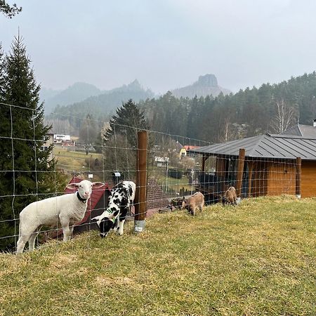 Natur Resort Jetrichovice מראה חיצוני תמונה